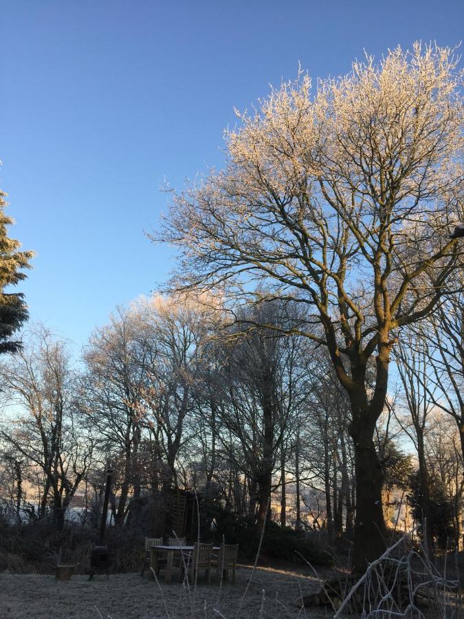 B&B Van Beijden Overasselt Dış mekan fotoğraf